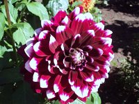 photos 2000-200902741